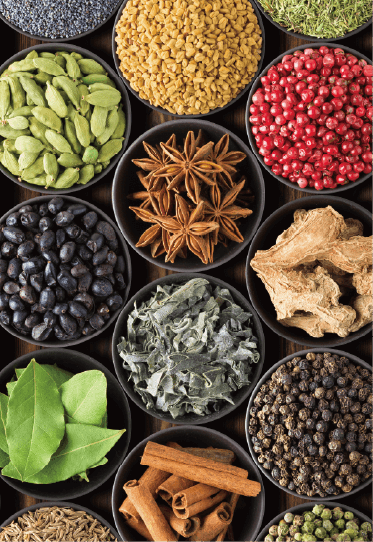 博多黒伽哩堂 Bistro RYU